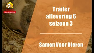 Trailer aflevering 6 - seizoen 3 Samen Voor Dieren