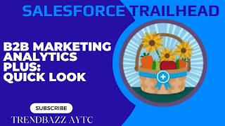 B2B Marketing Analytics Plus: Quick Look - Salesforce Trailhead