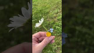 Tiny bouquet #wildflowers #flowers #cute #love #toddlermom #momlife