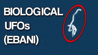 Mysterious Biological UFO Entities (EBANI)