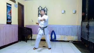 LATIHAN DASAR PUKULAN KARATE GOKASI@madedharmawan3789 CHANNEL