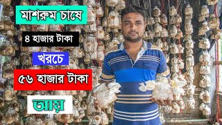 মাশরুম চাষে ৪ হাজার টাকা খরচ করে, ৫৬ হাজার টাকা আয় - Mushroom Farming in Bd - পর্ব ৩৩ - কৃষি বিচিত্র