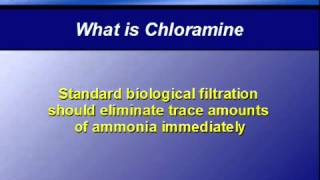 Water Tip 6 - What is chloramine