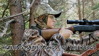 Black Bear Hunting in Northern Maine Woods | Week One | 2023