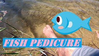 Fish Pedicure at Esker Lakes