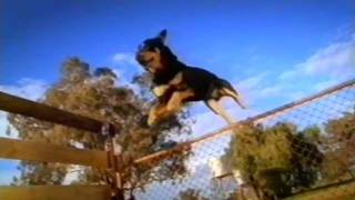 New Zealand TV: Pedigree Advertisement