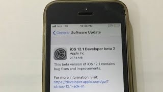 iOS 12.1 Beta 2 iPhone SE Review