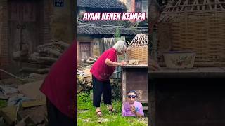 KERJAIN NENEK ⁉️ #chicken #funny #dubbing #comedy #dubber #shorts