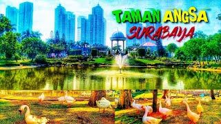 Taman angsa surabaya I pakuwon indah surabaya