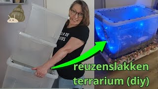 Terrarium maken van plastic box