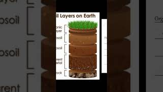 LAYERS  of SOIL #upsc #shorts  #viral