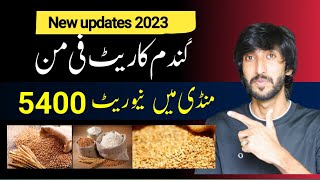 What is wheat price in Pakistan today?| wheat rate New update| wheat rate today 2023