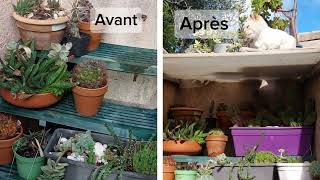 DIY Créer un abri pour les cactus