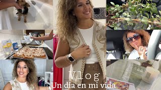 Vlog diario. Cambios importantes + Receta Kebap+ Lula y sus cuidados 📖 🍂 🐶