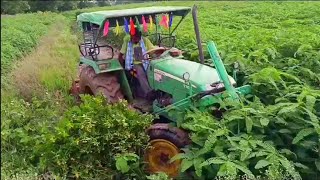 Tractor Work in Agriculture Field | Village Vlogs | Best Natural Fertilizer in Agriculture Field |