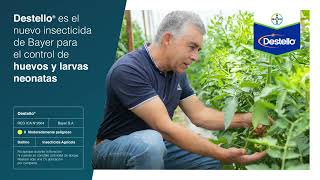 Insecticida para huevos y larvas Destello®