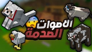 ماين كرافت : اختبار اصوات الحيوانات 😂 اتحداك تجيبها صح