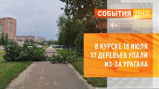 В Курске 18 июля 17 деревьев упали из-за урагана