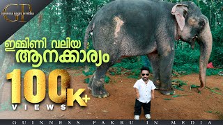 ഇമ്മിണി വലിയ ആനകാര്യം||GUINNESSPAKRUINMEDIA