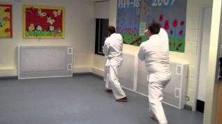 Kyushindo Striking Kata