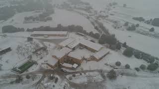 MASIA PELARDA NIEVE