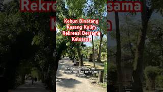 Menjelajah Alam di Kebun Binatang Kasang Kulim #kebunbinatang #bukittinggi