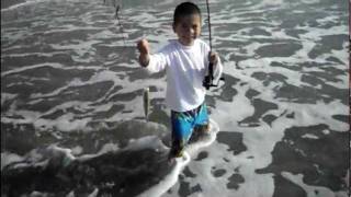 Sons First Barred Surfperch From Surf