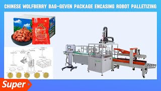 ZY-PM400 Encasing Machine for Pouches with Manipulator Case Packer