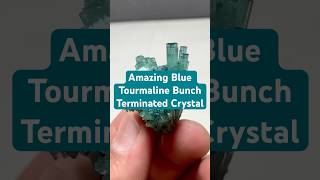 Amazing Blue Tourmaline Bunch Terminated Crystal #blue #tourmaline #crystal #foryou #fyp #viralvideo