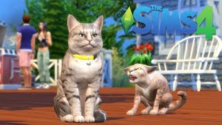 The Sims 4   Cats & Dogs Official Trailer   GameSpot