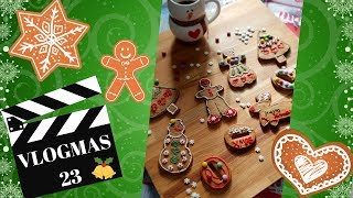 🎄 VLOGMAS #23 - FACCIAMO I BISCOTTI PANDIZENZERO! 🎄