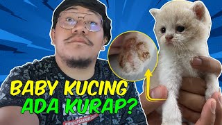 BABY KUCING ADA KURAP ?