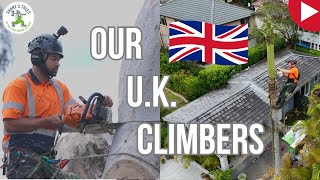 Our UK Climbers - Shane's Trees