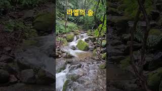 산림정원 라엘의 숲 #물정원