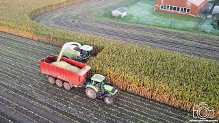 Mais hakselen met de mannen van LWB |LWB|DEUTZ-FAHR|CLAAS|JOSKIN|KAWECO|