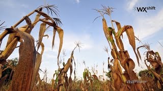 Weather Extremes: Drought