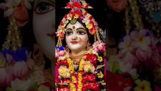 SHREE RADHE RADHE#om #sanatan #trending #youtubeshorts #om