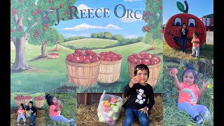 Farms in USA-Part 2 | Apple Picking | BJ Reece Apple Orchard | Georgia | Irene Baby | USA vlogs