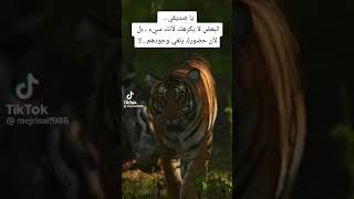 يكرهونك لأن حضورك يلغي وجودهم #الاتحاد #ittihad