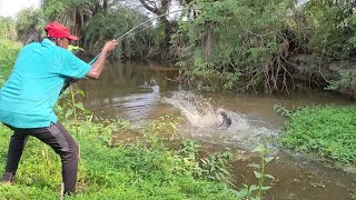 FISHING TECHNIQUES in 🎣 SINGLE HOOK VILLAGE FISHES CATCHING BIG CATFISHES