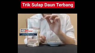 TRIK SULAP DAUN TERBANG