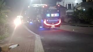 bus putri tunggal basuri remix+gasruk