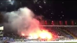 HSV in Darmstadt| Darmstadt 98 - Hamburg SV  07.11.2015|