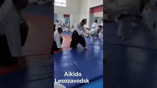 aikido