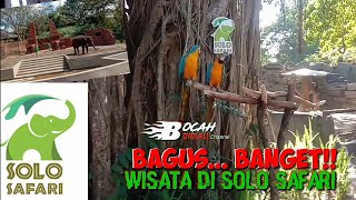 Suasana Solo Safari Terkini‼️Wisata di Solo Safari, Beda Banget dengan Yang Dulu🤫