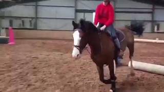 Horse jumping in Cavallo Hoof Boots