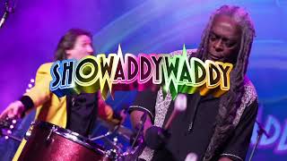 Showaddywaddy 2024