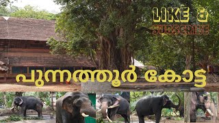 പുന്നത്തൂർ കോട്ട ||Punnathur Kotta@realistictravelogue