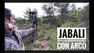 Bowhunting - Espera De Jabalí Con Arco - Albacete