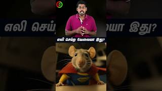 எப்படி திமிங்கிலம்? #tamilguru #tamilinformation #naveenbharathi